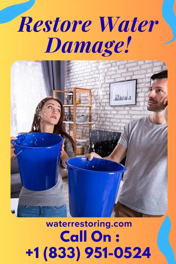 water restoration Hawk Disaster Cleanup Network Halstead