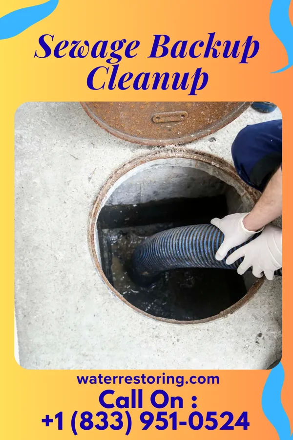 Sewage Backup Cleanup in Halstead, KS