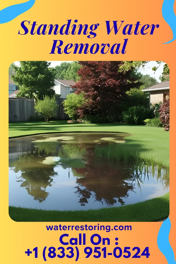 Standing Water Removal in Halstead, KS